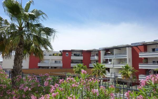 Appartement à louer    1 pièce •  Agde