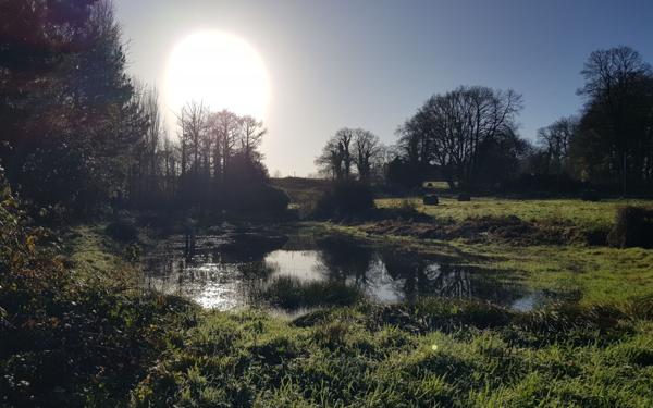 Maison à vendre    4 pièces • 91 m2 Bourbriac