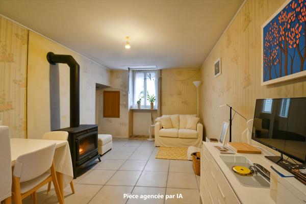 Maison de bourg avec jardin arboré NERONDES (18)