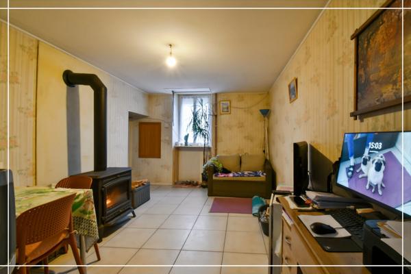 Maison de bourg avec jardin arboré NERONDES (18)