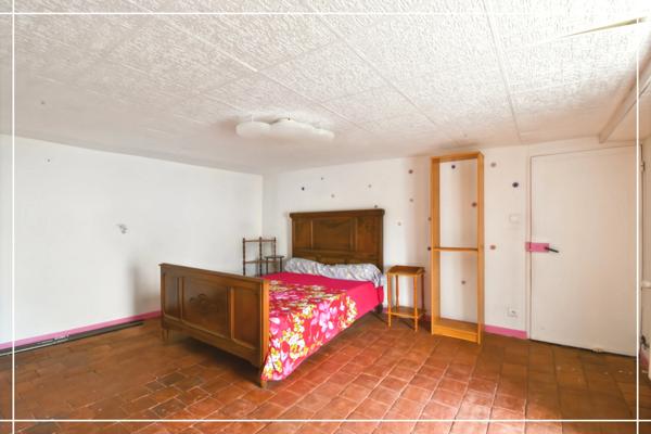 Maison de bourg avec jardin arboré NERONDES (18)