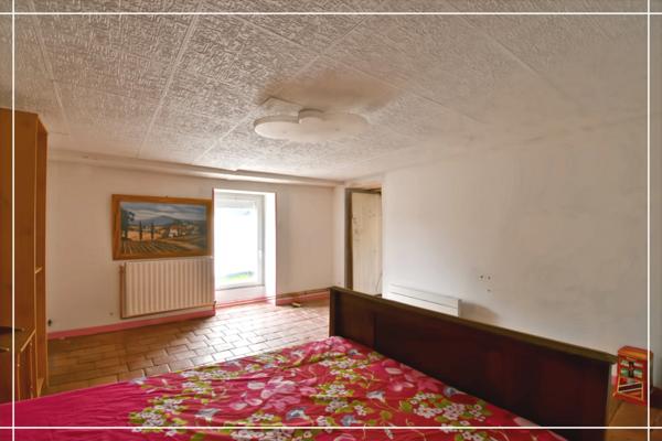 Maison de bourg avec jardin arboré NERONDES (18)