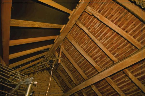 Maison de bourg avec jardin arboré NERONDES (18)