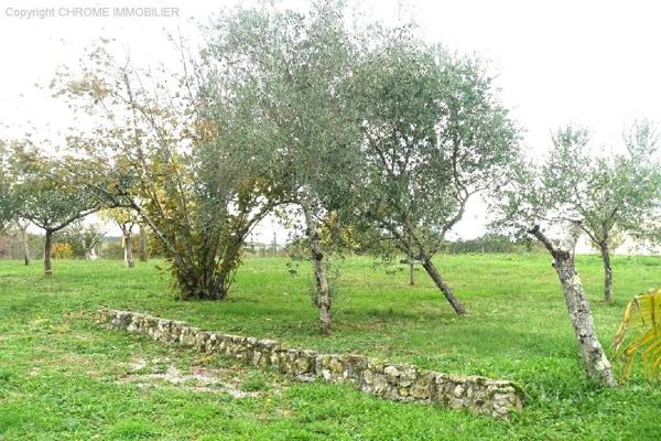 Vente                                                      Maison
                        
                     6 pièces                      142 m2                     à Casteljaloux