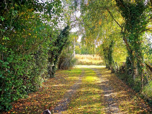 Maison Montigne Les Rairies 5 pièce(s) 140 m2