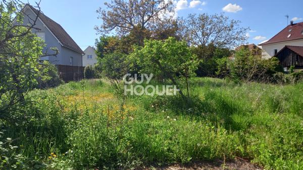 Terrain à vendre à Cernay - Opportunité rare !