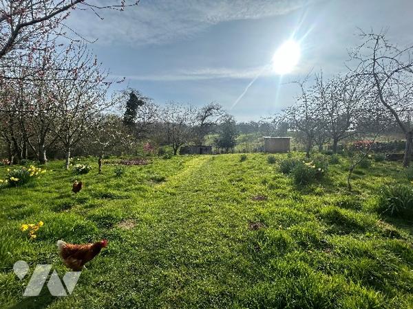 Maison familiale de 135 m² à Montilly-sur-Noireau sur un terrain de 3 950m².