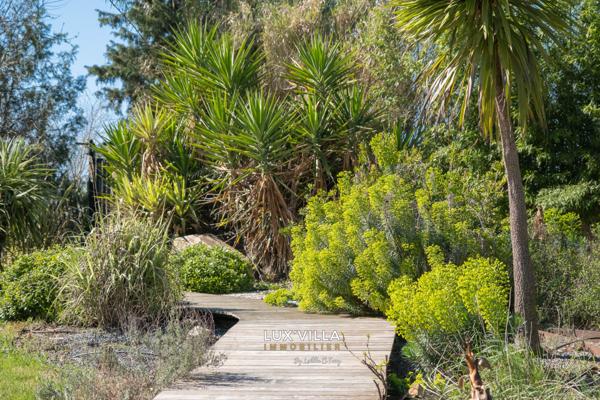 Montpellier (34000) Propriété d'exception et ses 4 studios indépendants