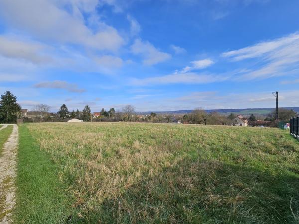 Vente Terrain6925 m² - ETIGNY (89510)