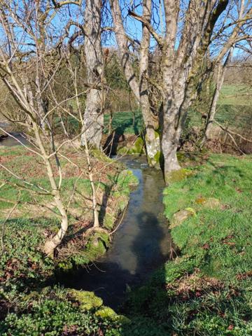 Maison 10 pièce(s) 240 m2