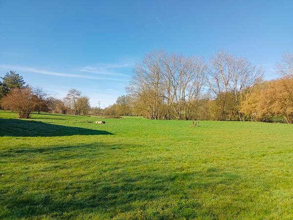 Maison 10 pièce(s) 240 m2