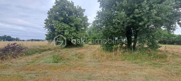 Situé dans un environnement calme et agréable, ce terrain d’environ 1 000 m² offre un cadre idéal pour la réalisation d’un projet de construction ou d’aménagement.

La parcelle est bornée, offrant une définition claire et sécurisée des limites du terrain. Une étude de sol de type G1 a été réalisée, permettant de faciliter la conception et la faisabilité d’un projet de construction.

Le terrain bénéficie d’une emprise au sol maximale de 35 %.

Une dépendance d’environ 60 m² est présente sur le terrain. Elle peut être conservée et utilisée comme espace de stockage ou atelier ...

Compteur d’eau déjà présent.
Raccordements à prévoir pour l’électricité, les télécommunications 
Prevoir l’assainissement autonome

A 5min de CARBONNE
À 10 minutes de l'autoroute A64, avec accès dans les deux sens : TOULOUSE/TARBES/BAYONNE
Proche des commodités, commerces, écoles et services