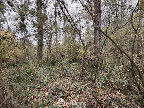 Terrain de loisirs 5000 m² à Chambry 02000