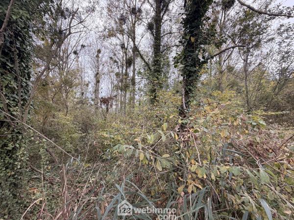 Terrain de loisirs 5000 m² à Chambry 02000