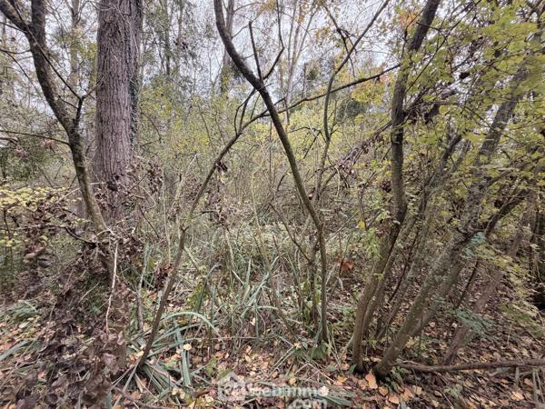 Terrain de loisirs 5000 m² à Chambry 02000