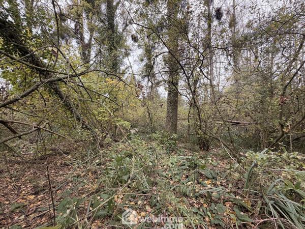 Terrain de loisirs 5000 m² à Chambry 02000