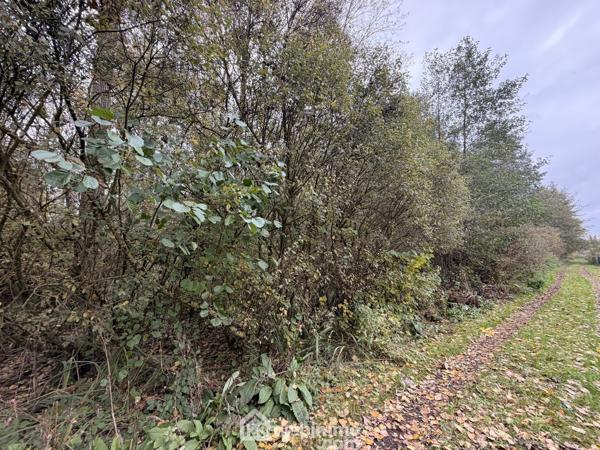 Terrain de loisirs 5000 m² à Chambry 02000