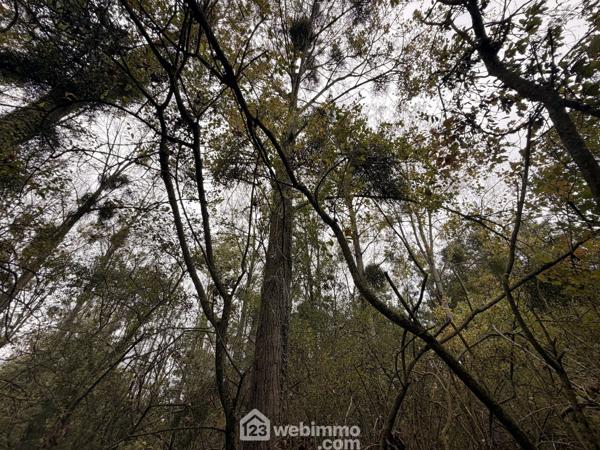 Terrain de loisirs 5000 m² à Chambry 02000