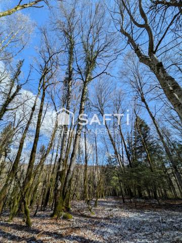 Terrain de loisirs – En bordure du lac de Vouglans