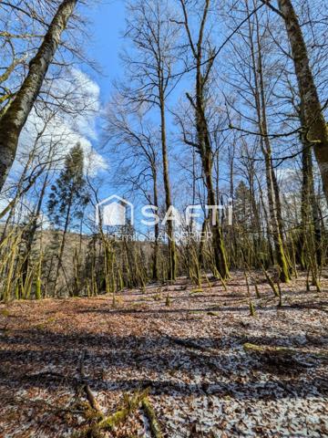 Terrain de loisirs – En bordure du lac de Vouglans