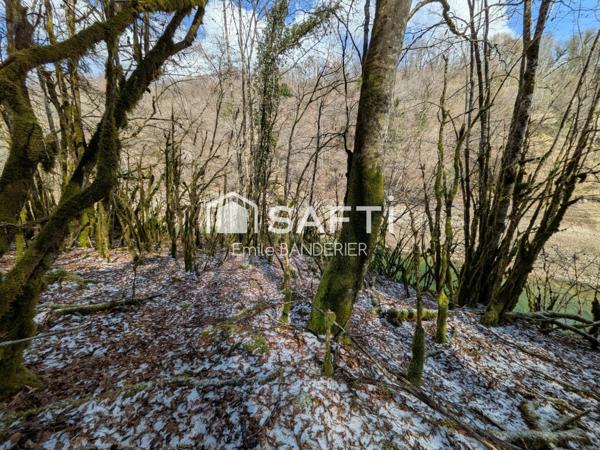 Terrain de loisirs – En bordure du lac de Vouglans