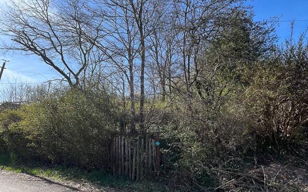 Terrain à vendre    Oberhaslach