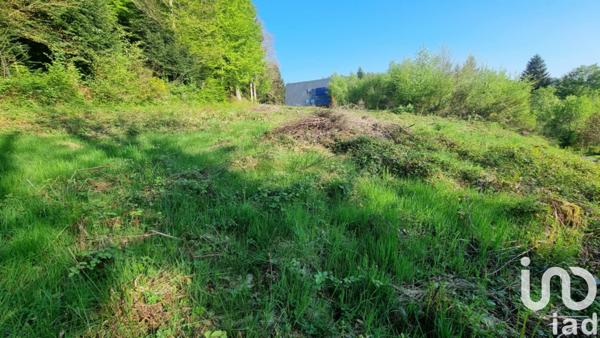 Terrain à vendre 1 031 m² Anould