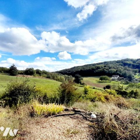 Maison à vendre Villeneuve-sur-Yonne