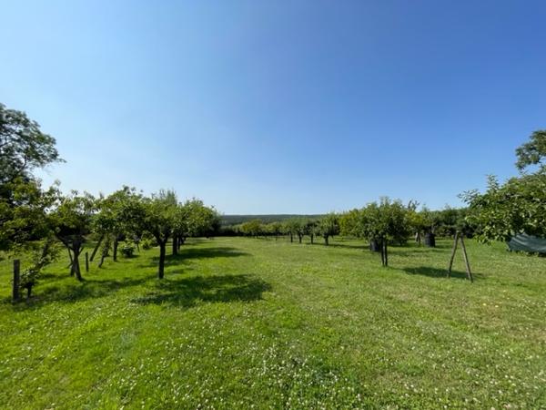 Achat maison Saint-Georges-sur-Baulche - 9 pièce(s) - 272 m² - 409 500 €