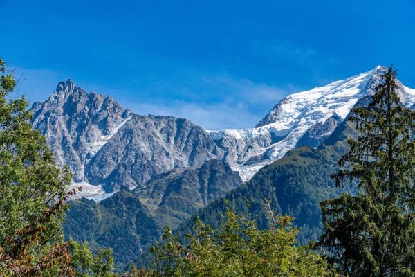 Vente Chalet de luxe Chamonix-Mont-Blanc 12 Pièces 356 m²