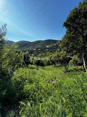 Terrain de 1 198 m²