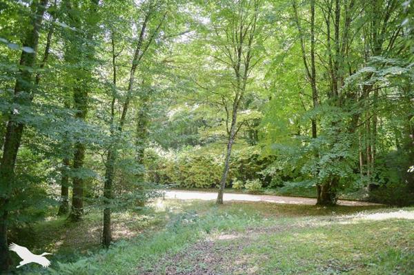 Maison à vendre |  Montrichard |  7 pièces | 460 m²