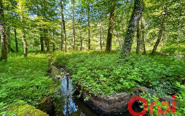 Maison à vendre    6 pièces • 229 m2 Allogny