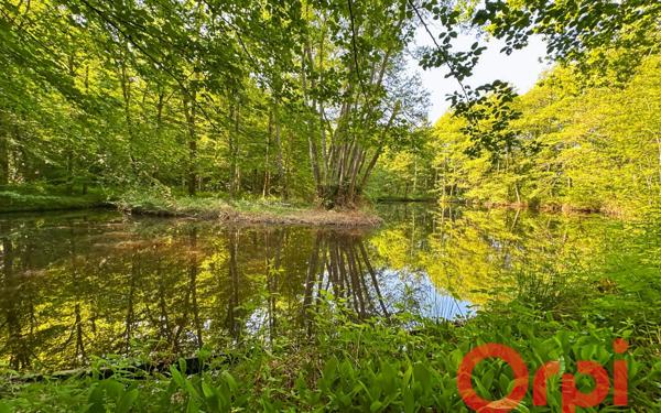 Maison à vendre    6 pièces • 229 m2 Allogny