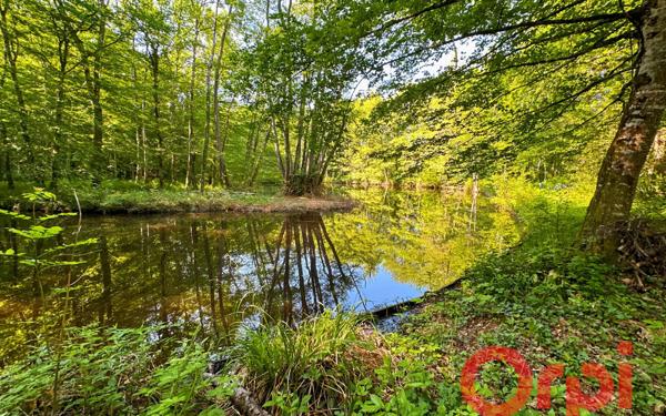 Maison à vendre    6 pièces • 229 m2 Allogny