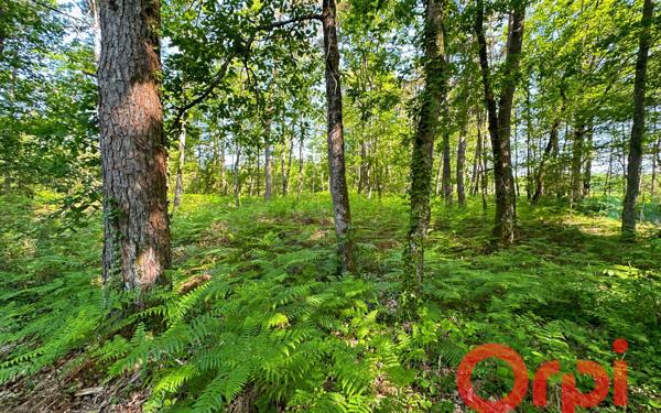 Maison à vendre    6 pièces • 229 m2 Allogny