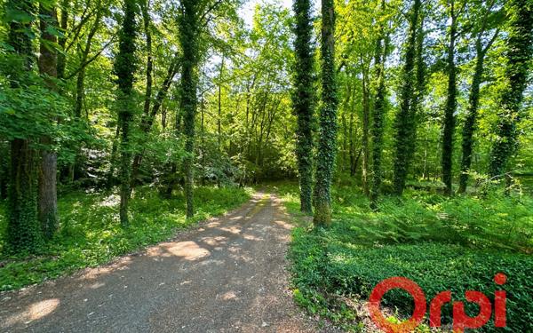 Maison à vendre    6 pièces • 229 m2 Allogny