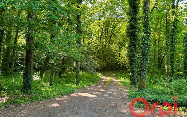 Maison à vendre    6 pièces • 229 m2 Allogny