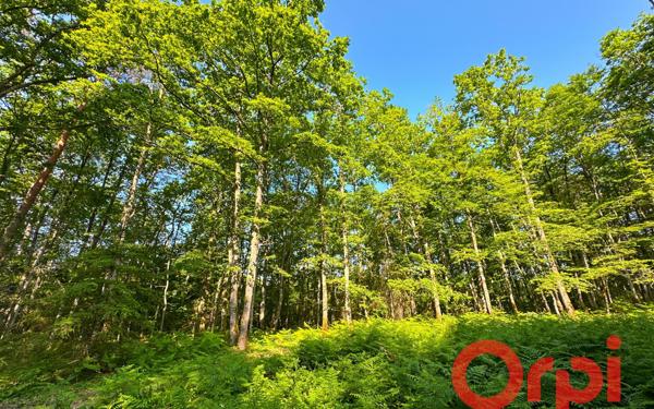 Maison à vendre    6 pièces • 229 m2 Allogny