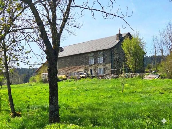 Ancienne ferme rénovée  Fay Sur Lignon