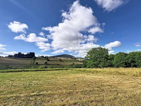 Ancienne ferme rénovée  Fay Sur Lignon