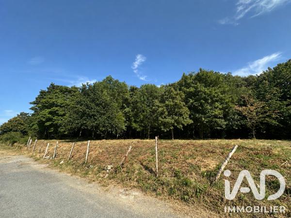 Terrain à vendre 3 917 m² Granville