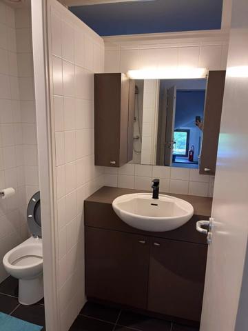 Maison de ville – Rennes Saint-Hélier, volumes et jardin