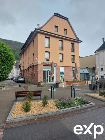 Vente Ensemble Immobilier à Guebwiller – Idéal Investisseur