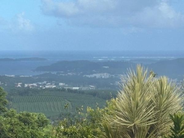 Grande villa à vendre composée de 3 appartements avec une magnifique vue mer LE FRANCOIS (972)
