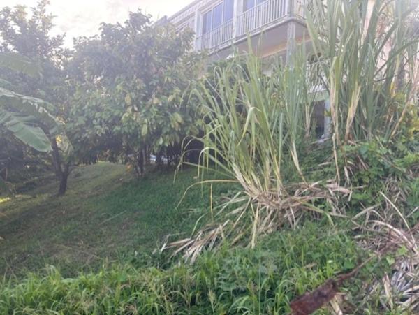 Grande villa à vendre composée de 3 appartements avec une magnifique vue mer LE FRANCOIS (972)