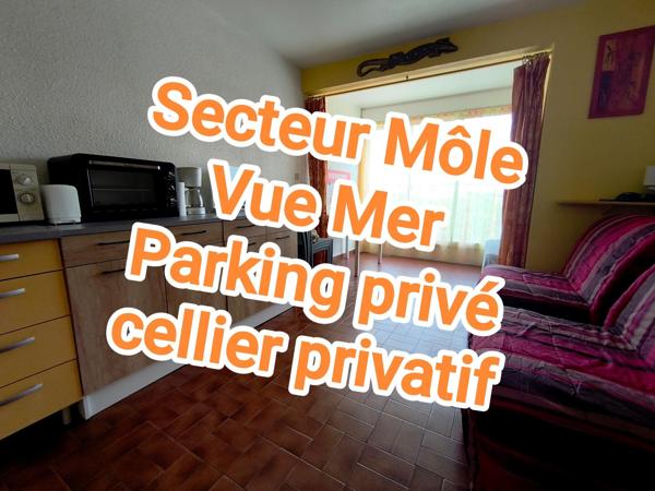 Studio avec Vue Mer - Parking et Cellier privatifs