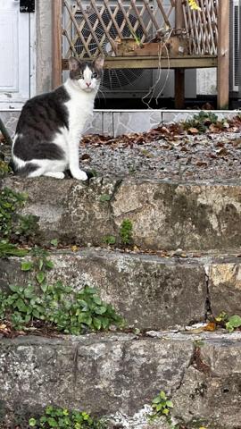Maison ancienne de 290 m²