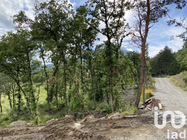 Terrain à vendre 800 m² Pelleautier