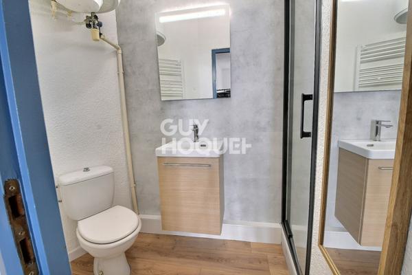 A VENDRE - Charmant T1 20 m² rénové et meublé Proche métro B Charpennes, Villeurbanne (69100)